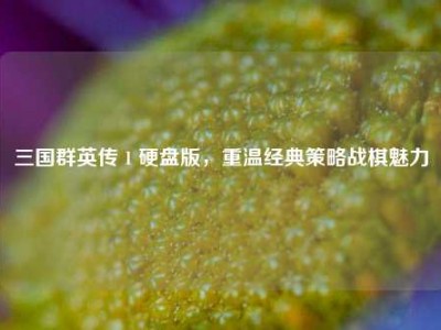 三国群英传 1 硬盘版，重温经典策略战棋魅力