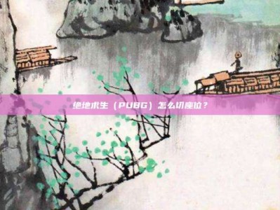 绝地求生（PUBG）怎么切座位？