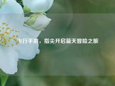 飞行手游，指尖开启蓝天冒险之旅