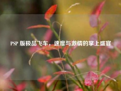 PSP 版极品飞车，速度与激情的掌上盛宴