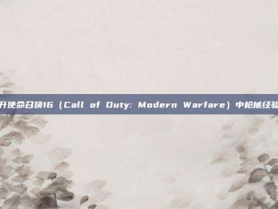 快速提升使命召唤16（Call of Duty: Modern Warfare）中枪械经验的技巧