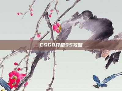 CSGO开箱95攻略