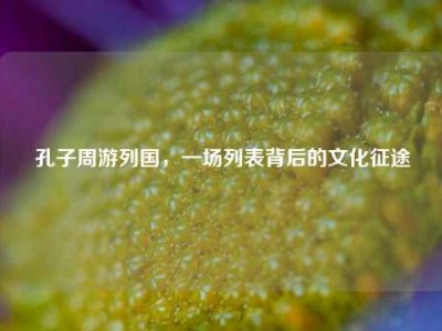 孔子周游列国，一场列表背后的文化征途