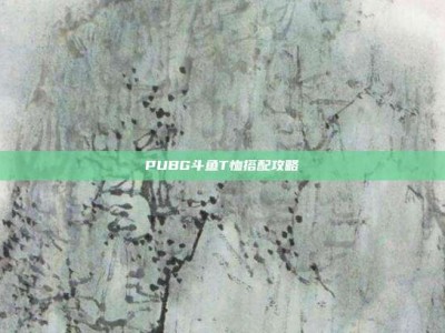 PUBG斗鱼T恤搭配攻略