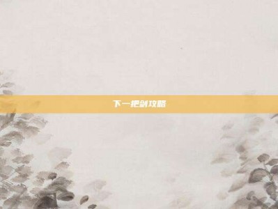 下一把剑攻略