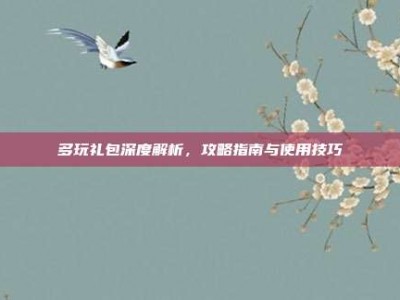 多玩礼包深度解析，攻略指南与使用技巧