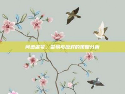 问道盗号，警惕与应对的策略分析