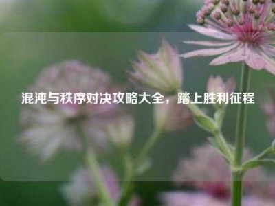 混沌与秩序对决攻略大全，踏上胜利征程