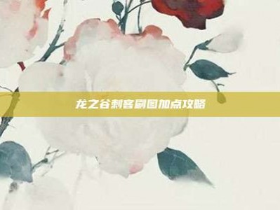 龙之谷刺客刷图加点攻略