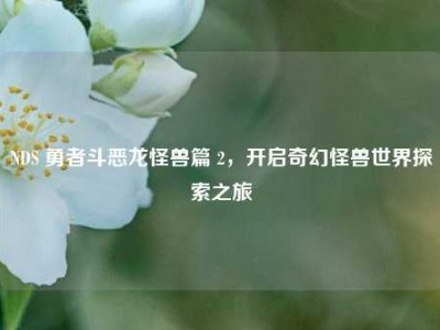 NDS 勇者斗恶龙怪兽篇 2，开启奇幻怪兽世界探索之旅