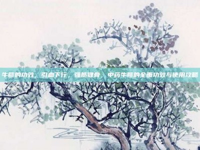 牛膝的功效，引血下行，强筋健骨，中药牛膝的全面功效与使用攻略