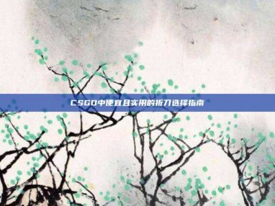 CSGO中便宜且实用的折刀选择指南