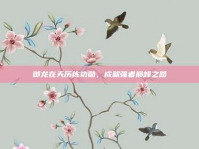 御龙在天历练功勋，成就强者巅峰之路