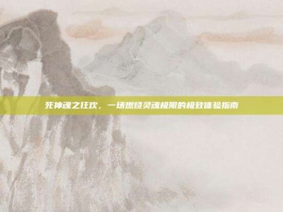 死神魂之狂欢，一场燃烧灵魂极限的极致体验指南