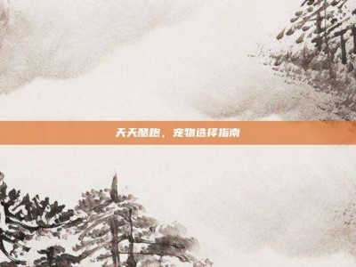 天天酷跑，宠物选择指南