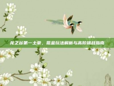 龙之谷第一土豪，氪金玩法解析与高阶挑战指南