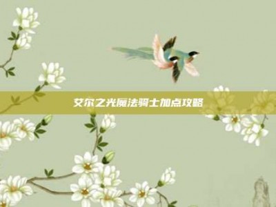 艾尔之光魔法骑士加点攻略
