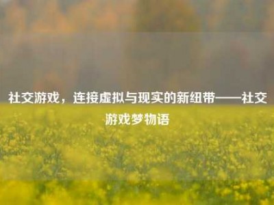 社交游戏，连接虚拟与现实的新纽带——社交游戏梦物语