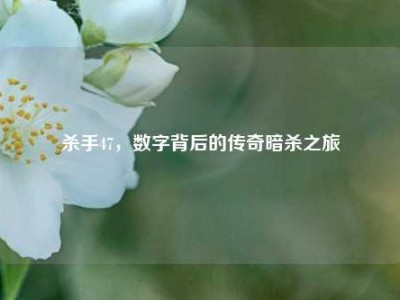 杀手47，数字背后的传奇暗杀之旅