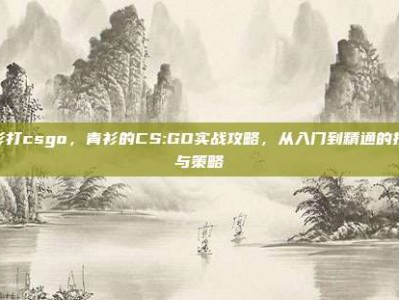 青衫打csgo，青衫的CS:GO实战攻略，从入门到精通的技巧与策略