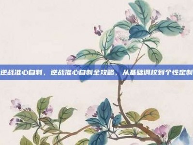 逆战准心自制，逆战准心自制全攻略，从基础调校到个性定制