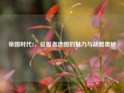 帝国时代2，征服者地图的魅力与战略奥秘