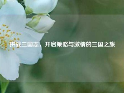 拼战三国志，开启策略与激情的三国之旅