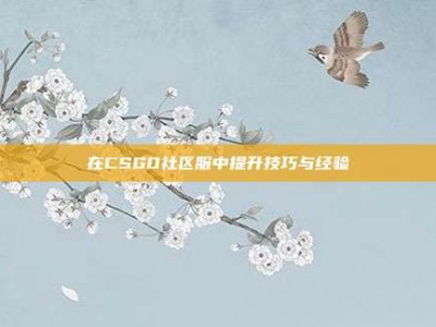 在CSGO社区服中提升技巧与经验