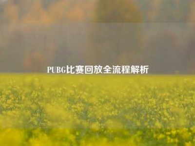PUBG比赛回放全流程解析