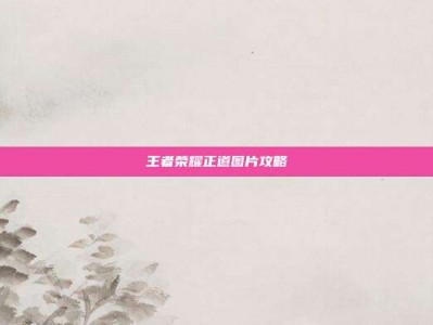 王者荣耀正道图片攻略