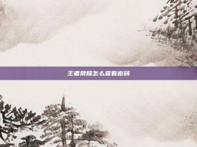 王者荣耀怎么查看密码