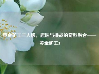 黄金矿工三人版，趣味与挑战的奇妙融合——黄金矿工3