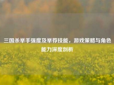 三国杀举手强度及举荐技能，游戏策略与角色能力深度剖析