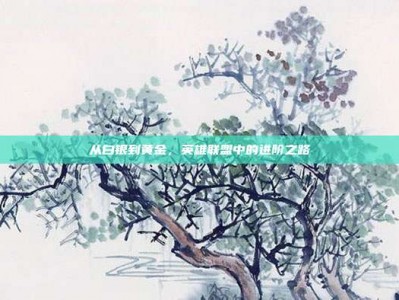 从白银到黄金，英雄联盟中的进阶之路