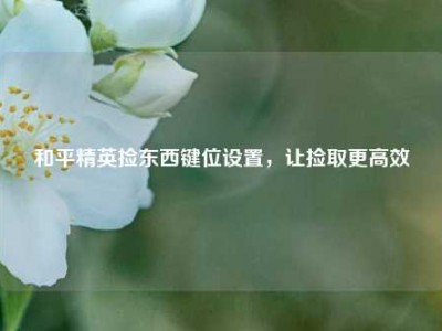 和平精英捡东西键位设置，让捡取更高效