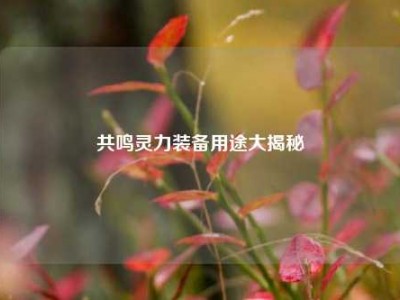 共鸣灵力装备用途大揭秘