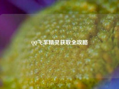 QQ飞车精灵获取全攻略
