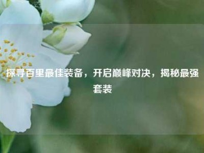 探寻百里最佳装备，开启巅峰对决，揭秘最强套装