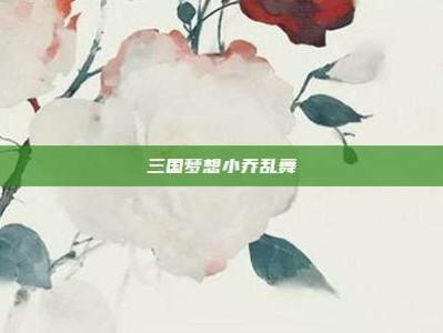 三国梦想小乔乱舞