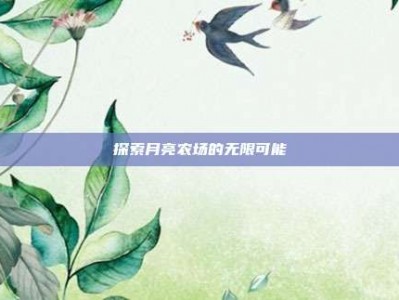 探索月亮农场的无限可能