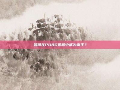 如何在PUBG视频中成为高手？