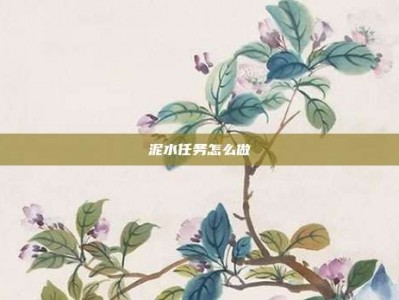 泥水任务怎么做