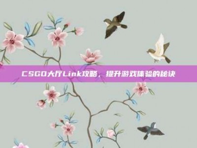 CSGO大厅Link攻略，提升游戏体验的秘诀