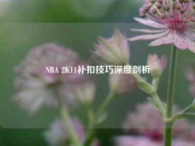 NBA 2K11补扣技巧深度剖析