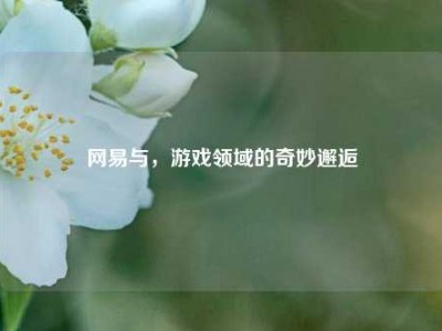 网易与，游戏领域的奇妙邂逅
