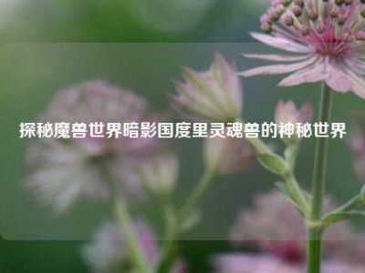 探秘魔兽世界暗影国度里灵魂兽的神秘世界