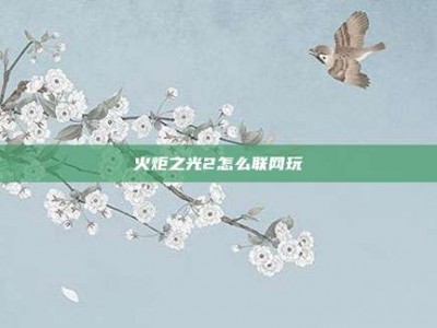 火炬之光2怎么联网玩