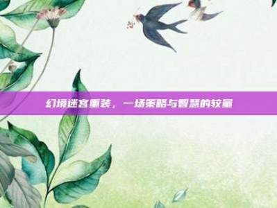 幻境迷宫重装，一场策略与智慧的较量