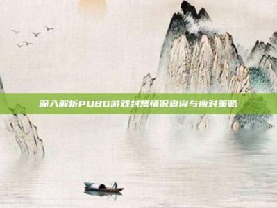 深入解析PUBG游戏封禁情况查询与应对策略
