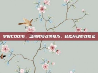 掌握COD16，动视账号改绑技巧，轻松升级游戏体验